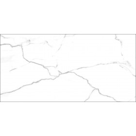GRESIE PORTELANATA G. NILO BLANCO LUCIOS 60X120