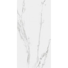 GRESIE PORTELANATA CARARRA GREY POLISHED R.60x120